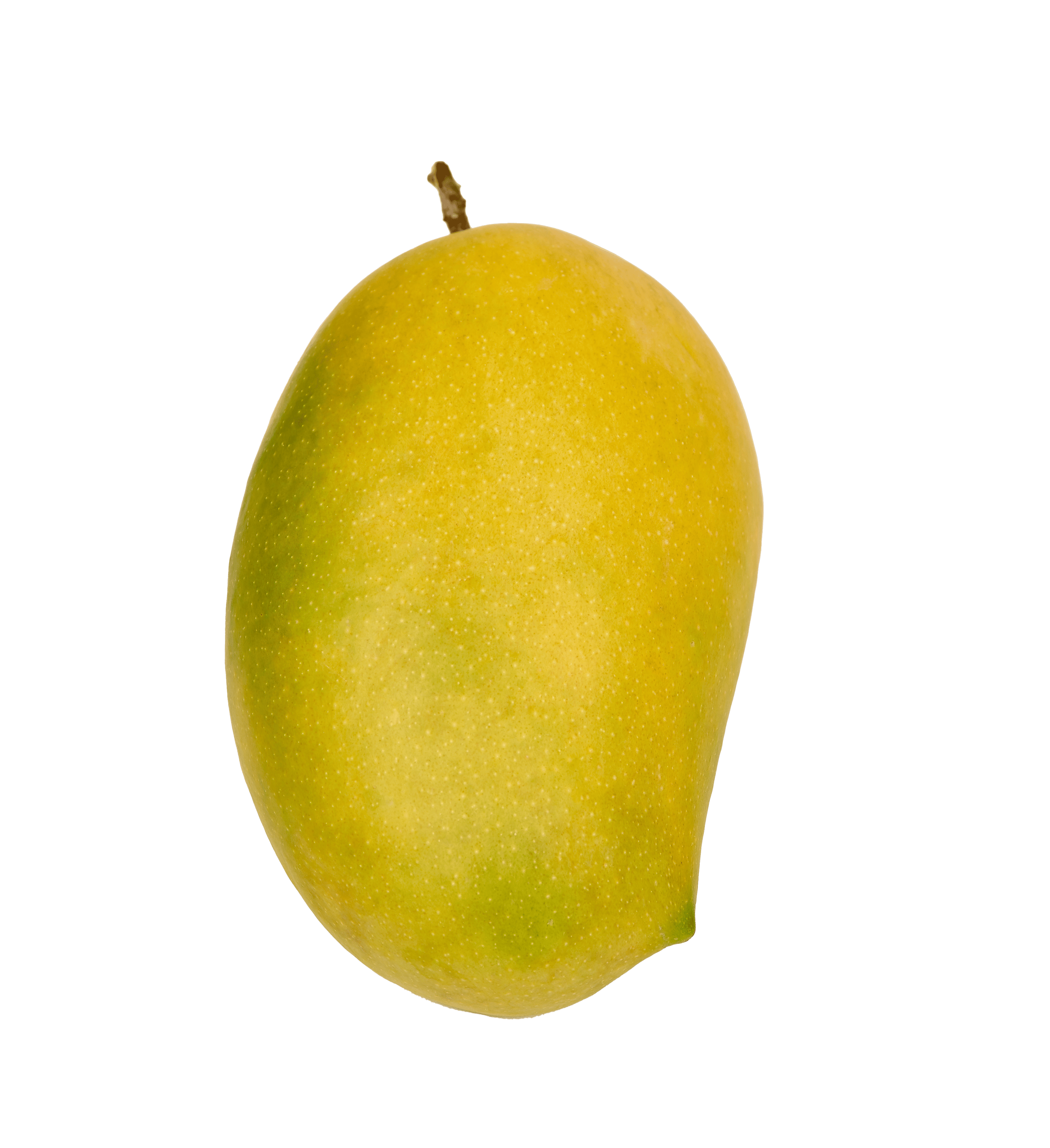 Kesar Mango